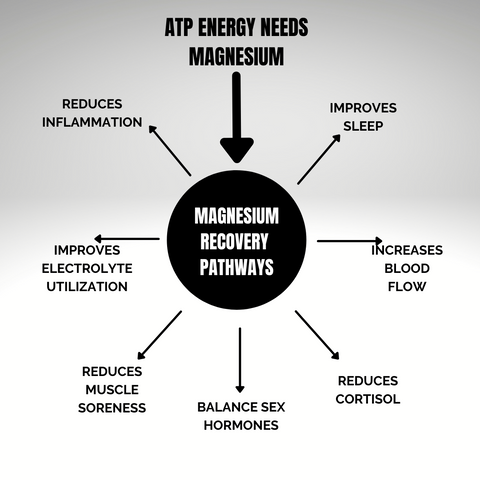 HydraMag ATP ENERGY and Recovery Chart