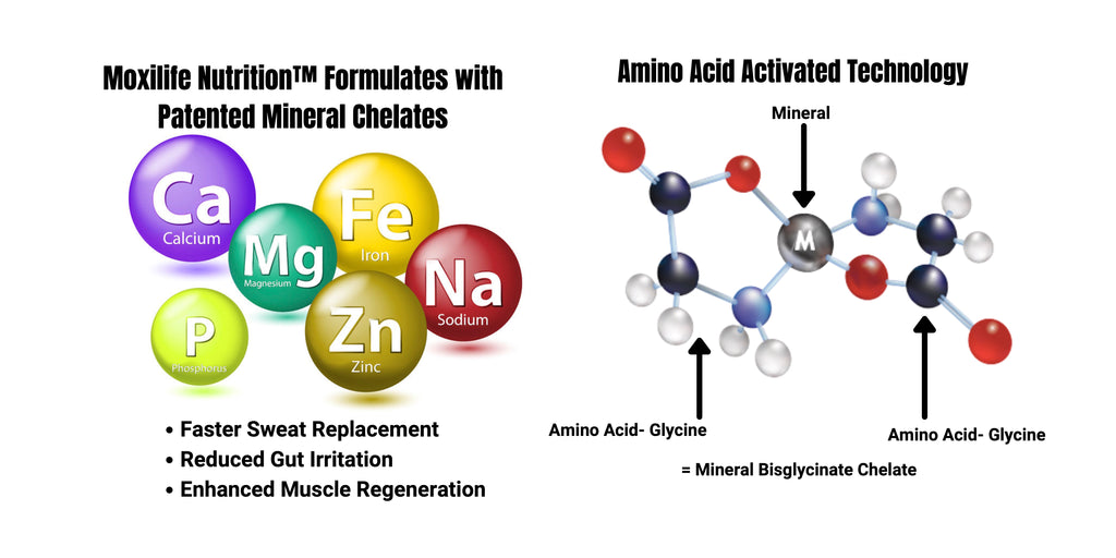 Amino Acid Technology