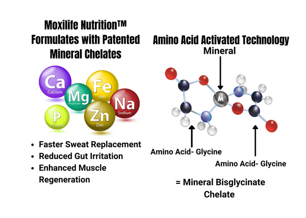 Diagram and visual representation of Chelated Minerals  which make the Best Endurance athlete minerals 