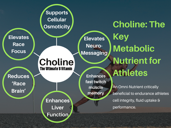 Athletic Benefits of Choline: Osmocity, Brain Enhancer, Focus Fuel