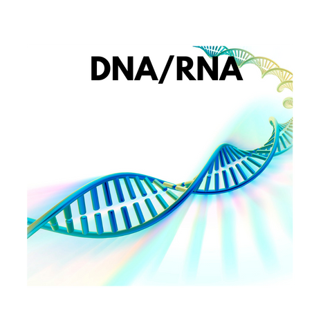 DNA RNA