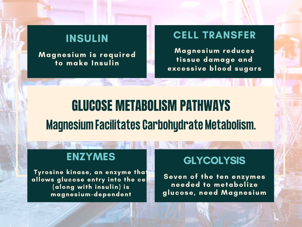 Diabetes and Magnesium, How is Magnesium good for diabetes, How does Magnesium breakdown Sugars and Carbohydrates