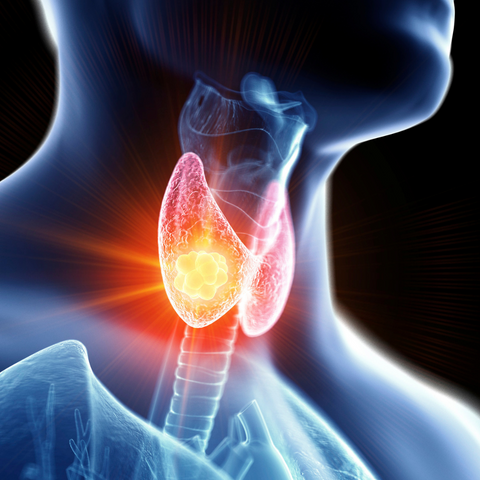 Thyroid location