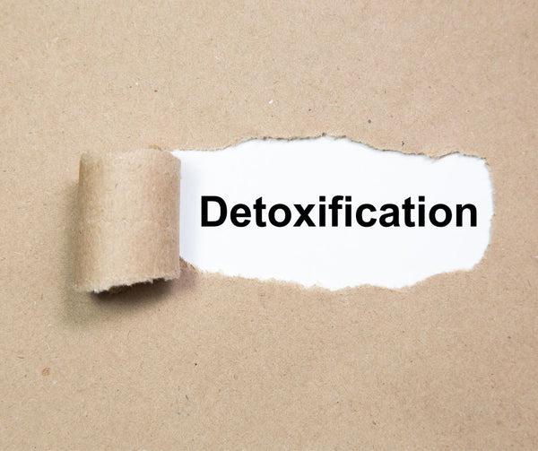 Detoxification spelled out behind a roll of kraft paper