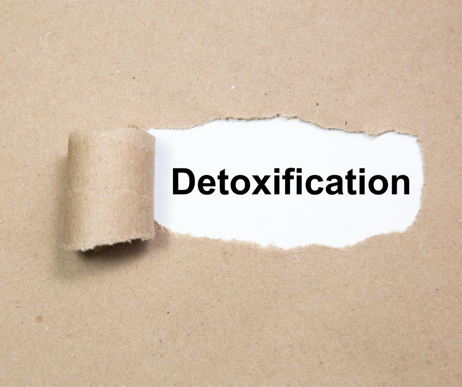 Detoxification spelled out through a ripped sheet of kraft paper. MOXi Nutrition