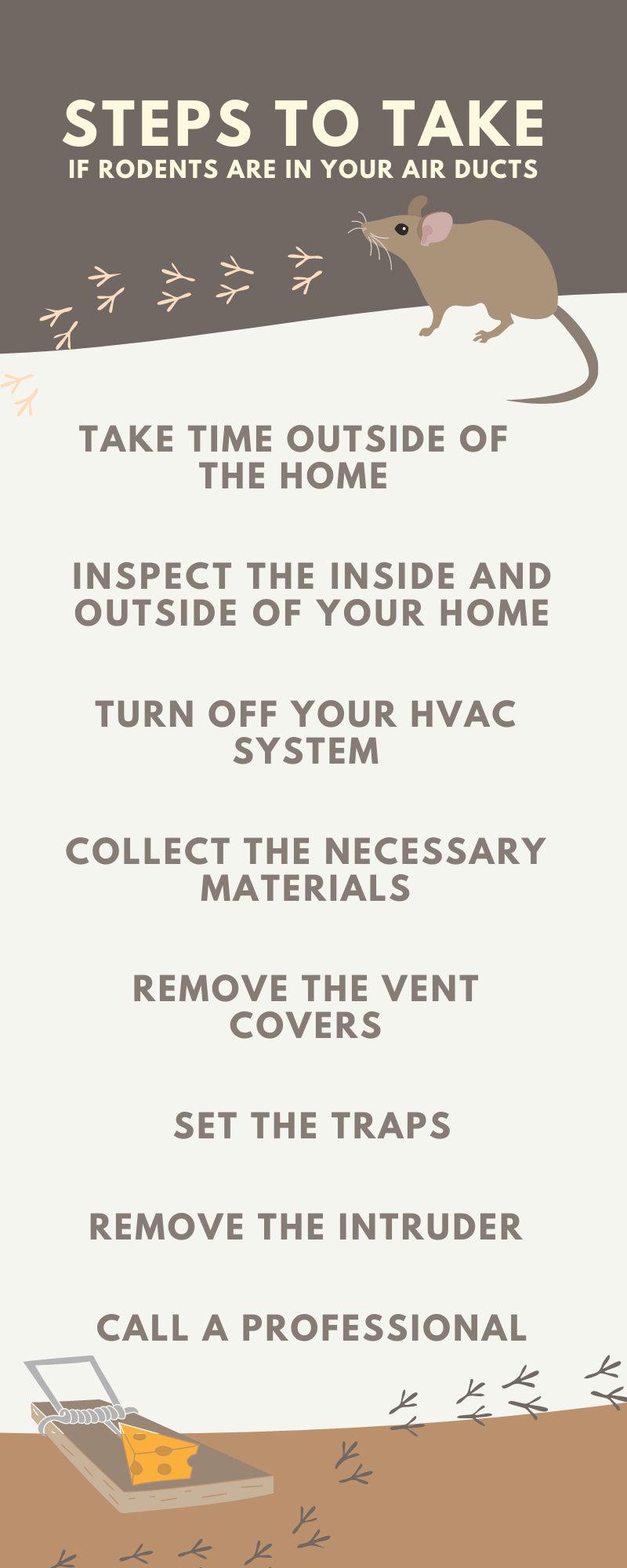 Steps To Take If Rodents Are In Your Air Ducts