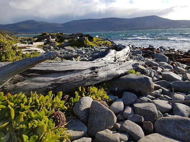 Women's Paddling Getaway Bruny Island Tasmania Next Level Kayaking