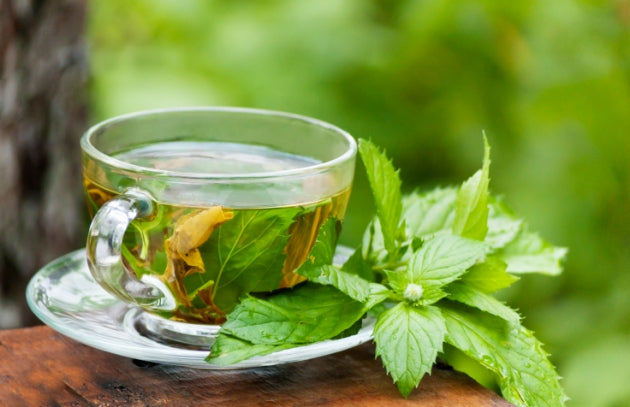 Baja de peso y más beneficios del té verde – Azaphran