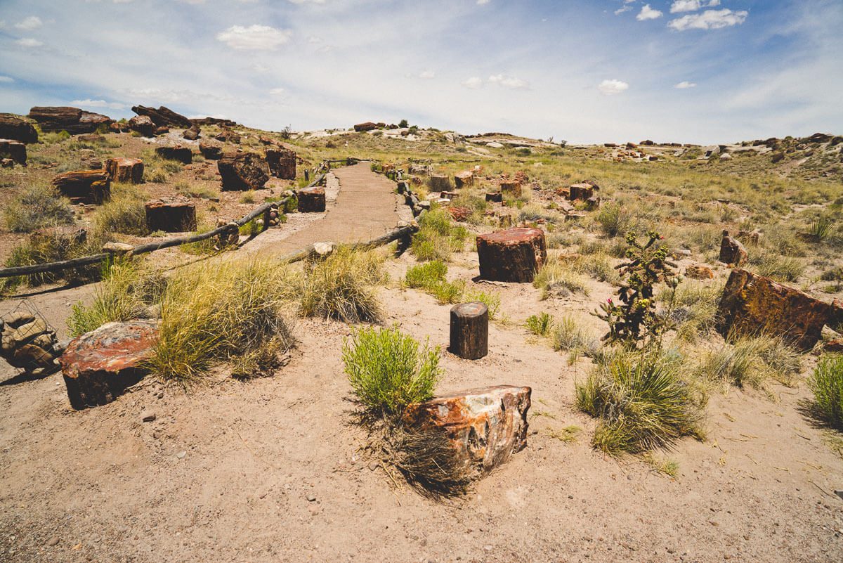 Route 66 Attractions: Petrified National Forest