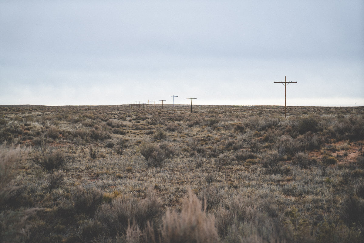 Route 66 Attractions: Petrified National Forest