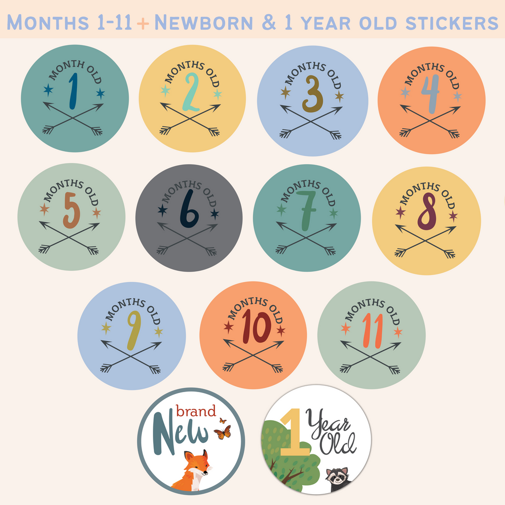 Modern Maxwell Baby Girl Milestone Month Stickers 16 Pack Age 1 to 12 Month 4 Inches Pink Peach Gray Floral Perfect for Pictures and Scrapbooks