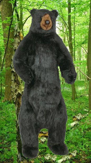 realistic stuffed black bear