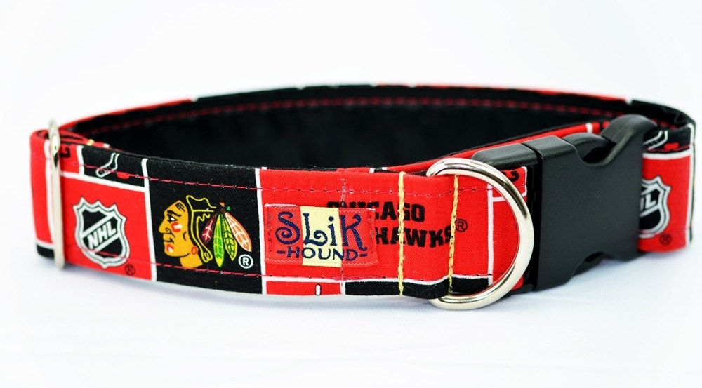 themed dog collars