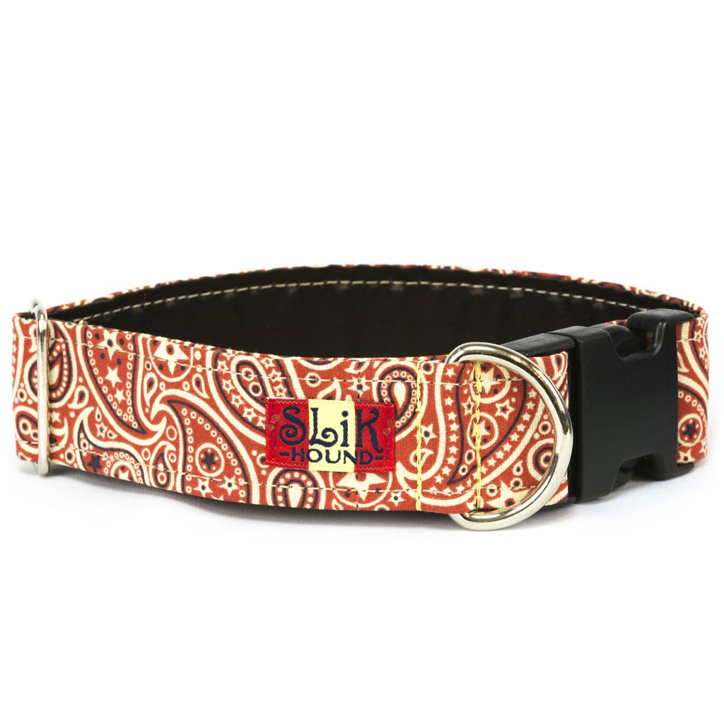 paisley dog collar