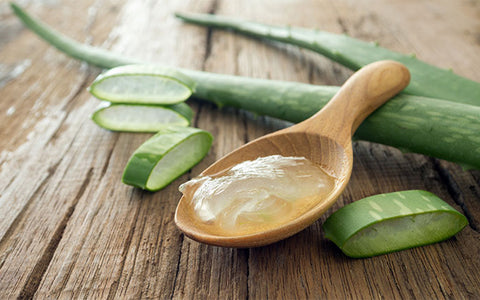 Anti - Aging Foods - Aloe Vera