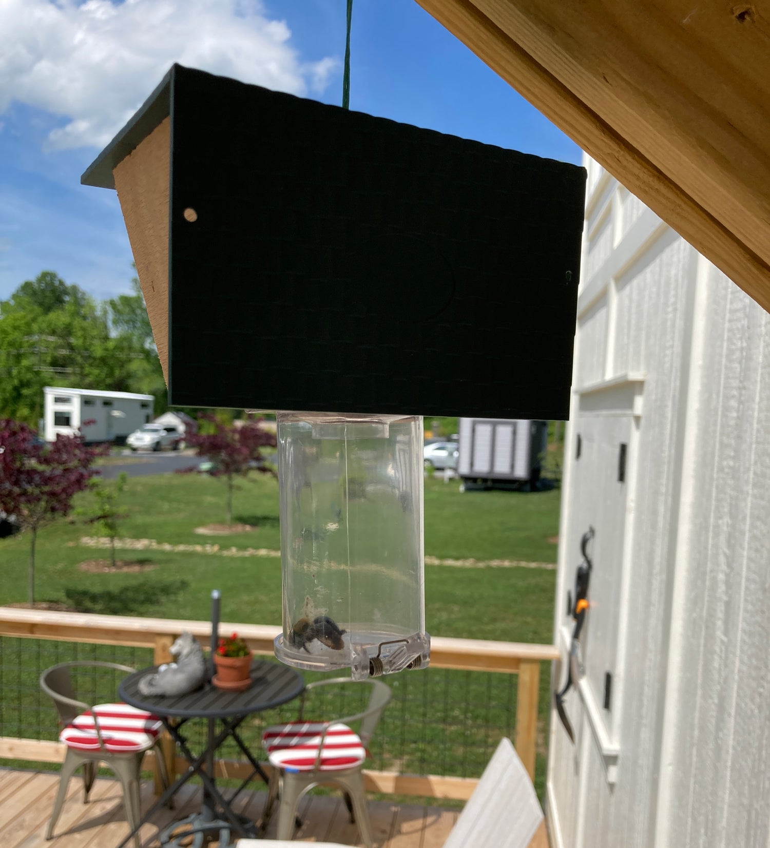 Enjoy your porch without carpenter bees!