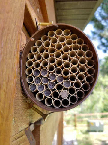 Handmade Mason Bee Nests | Best Bee Brothers