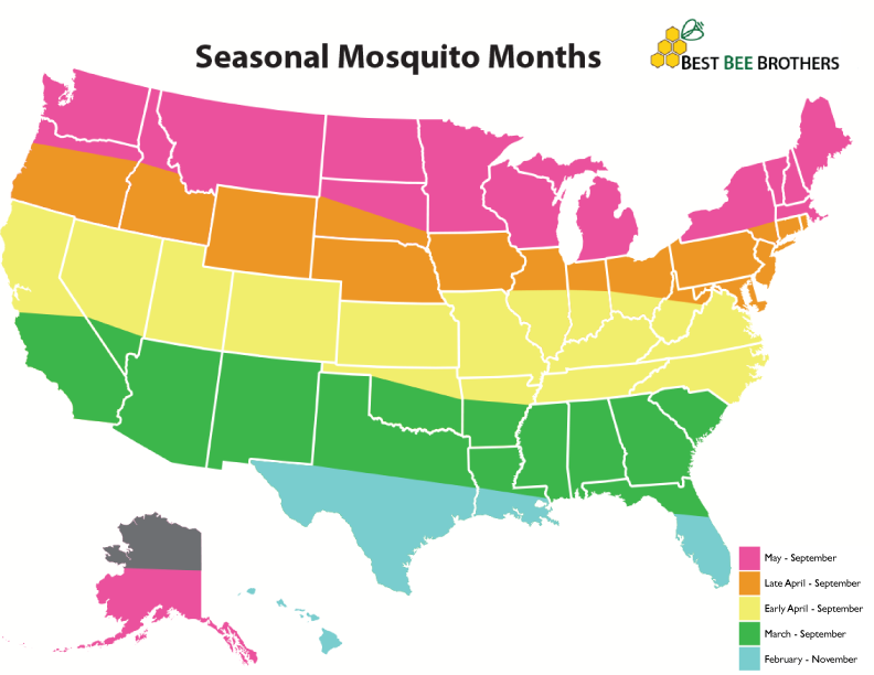 Mosquito Season Start & End Dates [Seasonality Map] Best Bee Brother