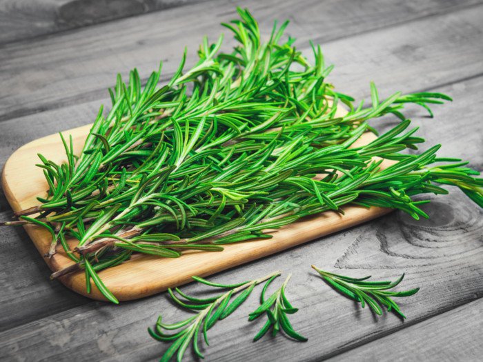 Rosemary is a wonder herb and prevents mosquito infestations! | Best Bee Brothers