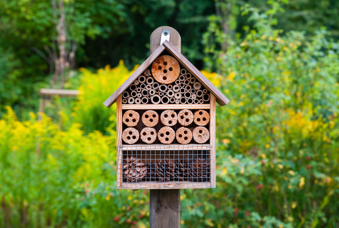 Bee Lodges Require Maintenance | Best Bee Brothers