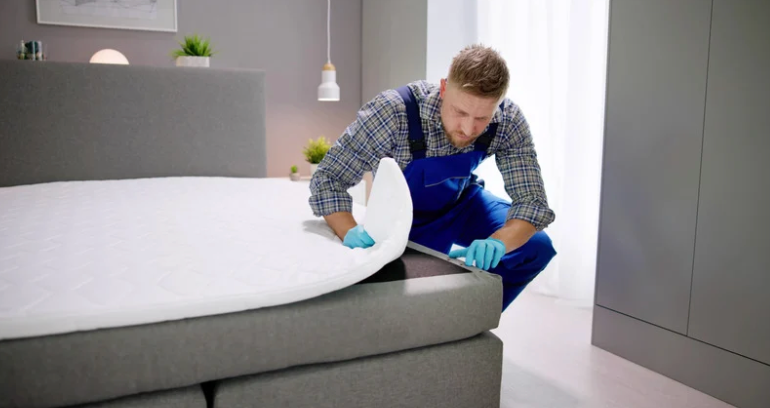Maintain proper and consistent cleaning behaviors to protect your home.