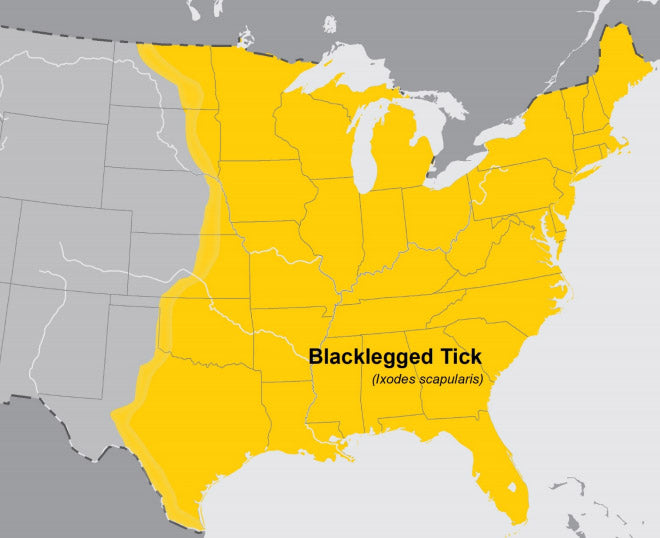 The black-legged tick can be found on the eastern half of the United States.