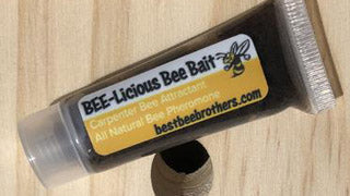 Attracting Carpenter Bees to your Trap