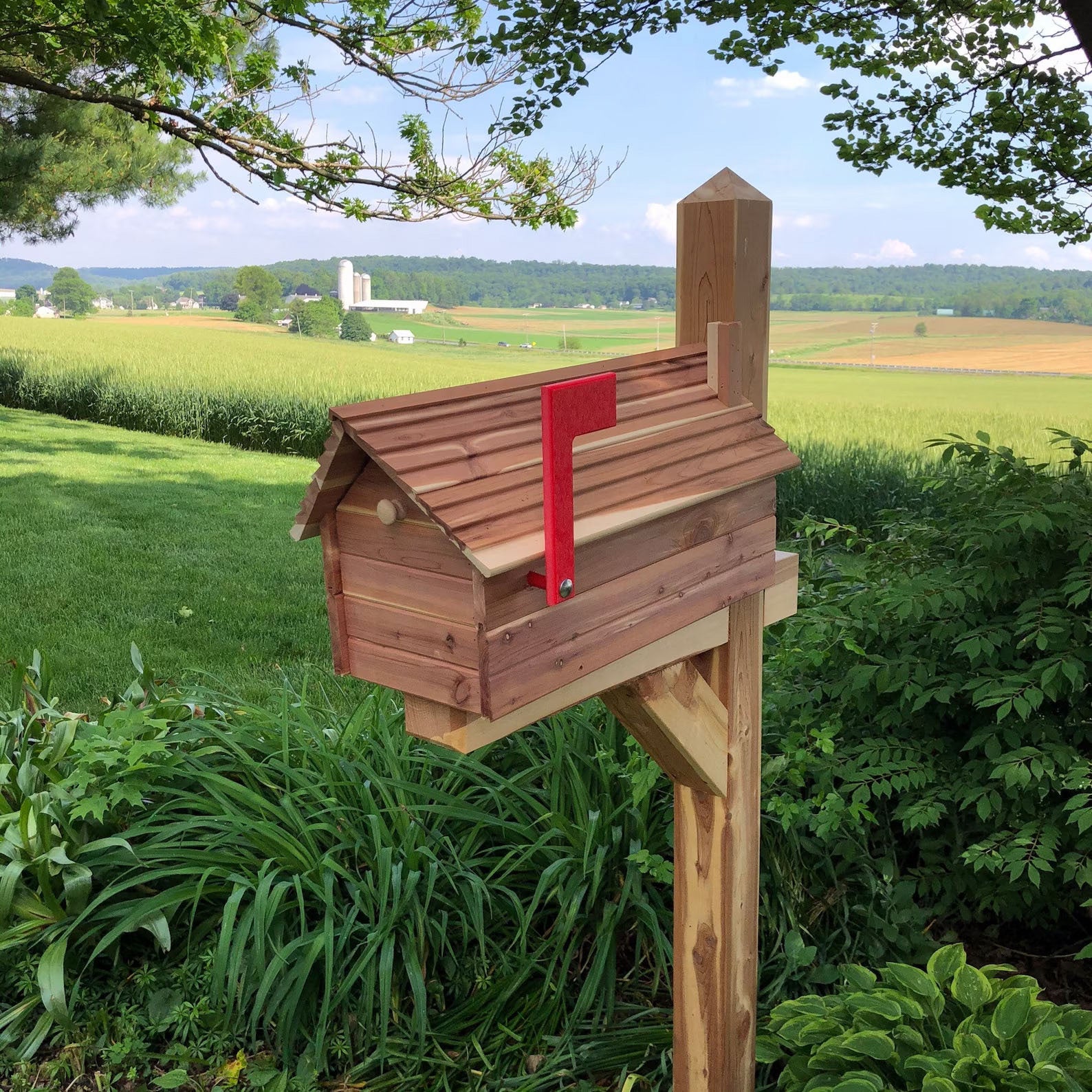 Don’t let carpenter bees destroy your beautiful cedar mailbox!