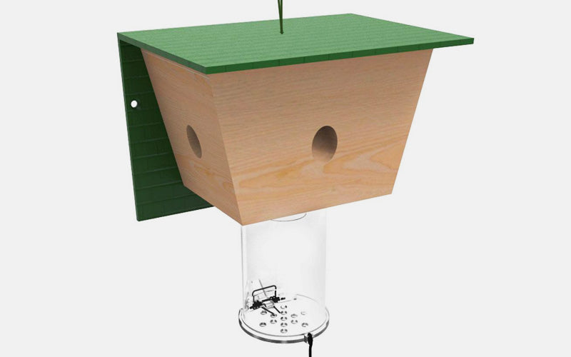 Carpenter Bee Traps: Do They Work?