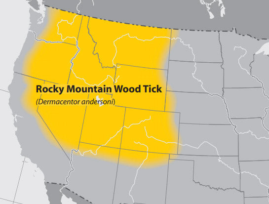 The rocky mountain wood tick is throughout the range of the rocky mountains.