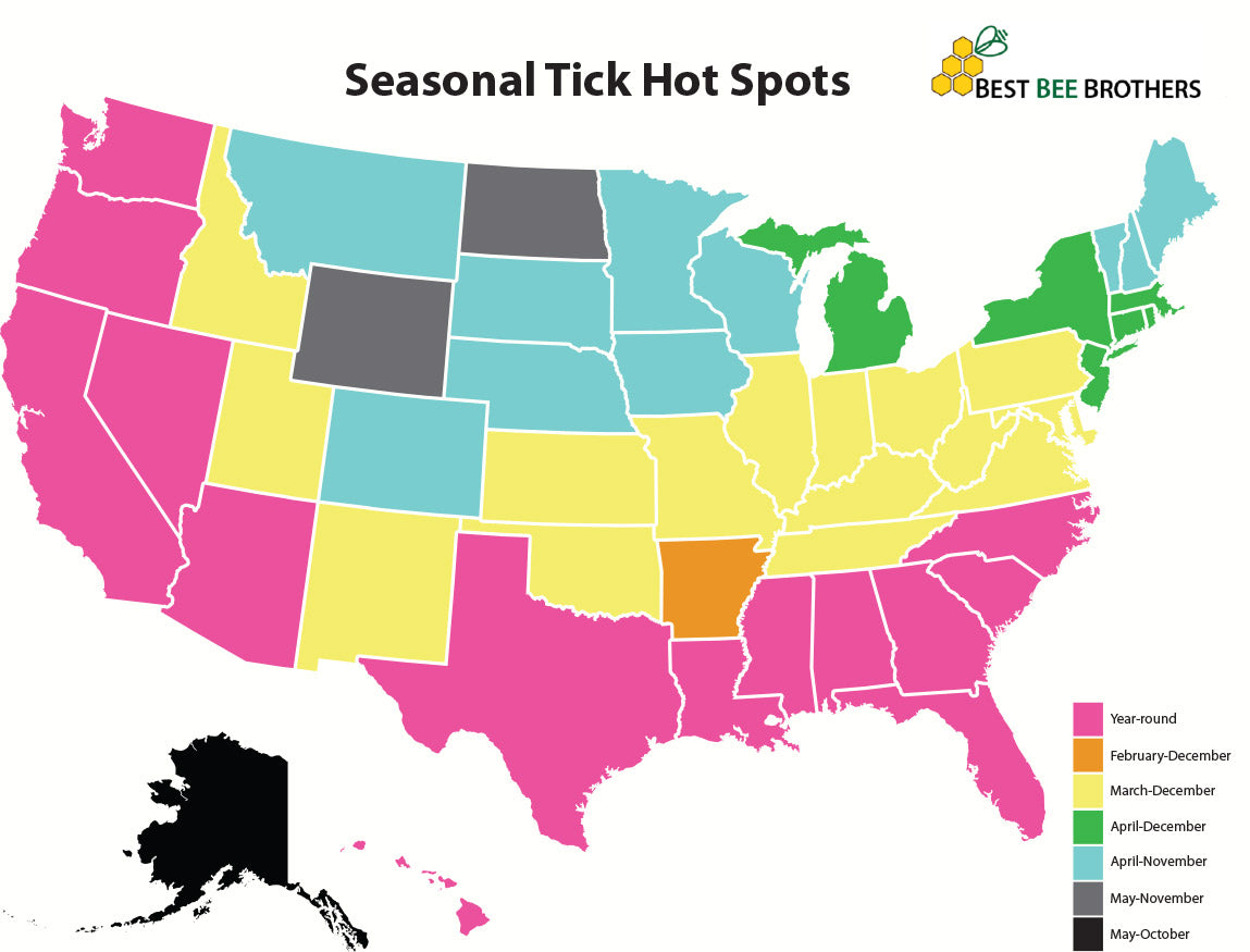 This tick seasonality map provides an estimated timeframe when ticks are present within the United States.