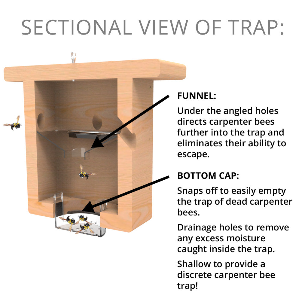 All Pine Carpenter Bee Box Trap - Best Bee Brothers