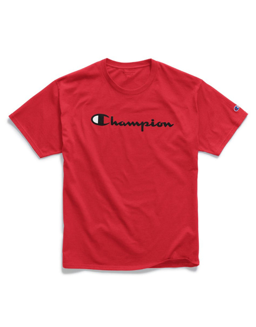 men's champion graphic jersey tee