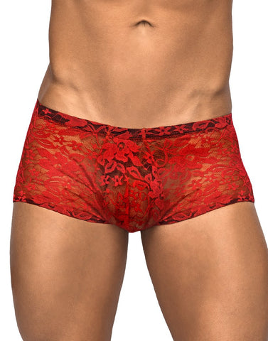 Renegade Peekaboo Sheer Thong by Gregg Homme