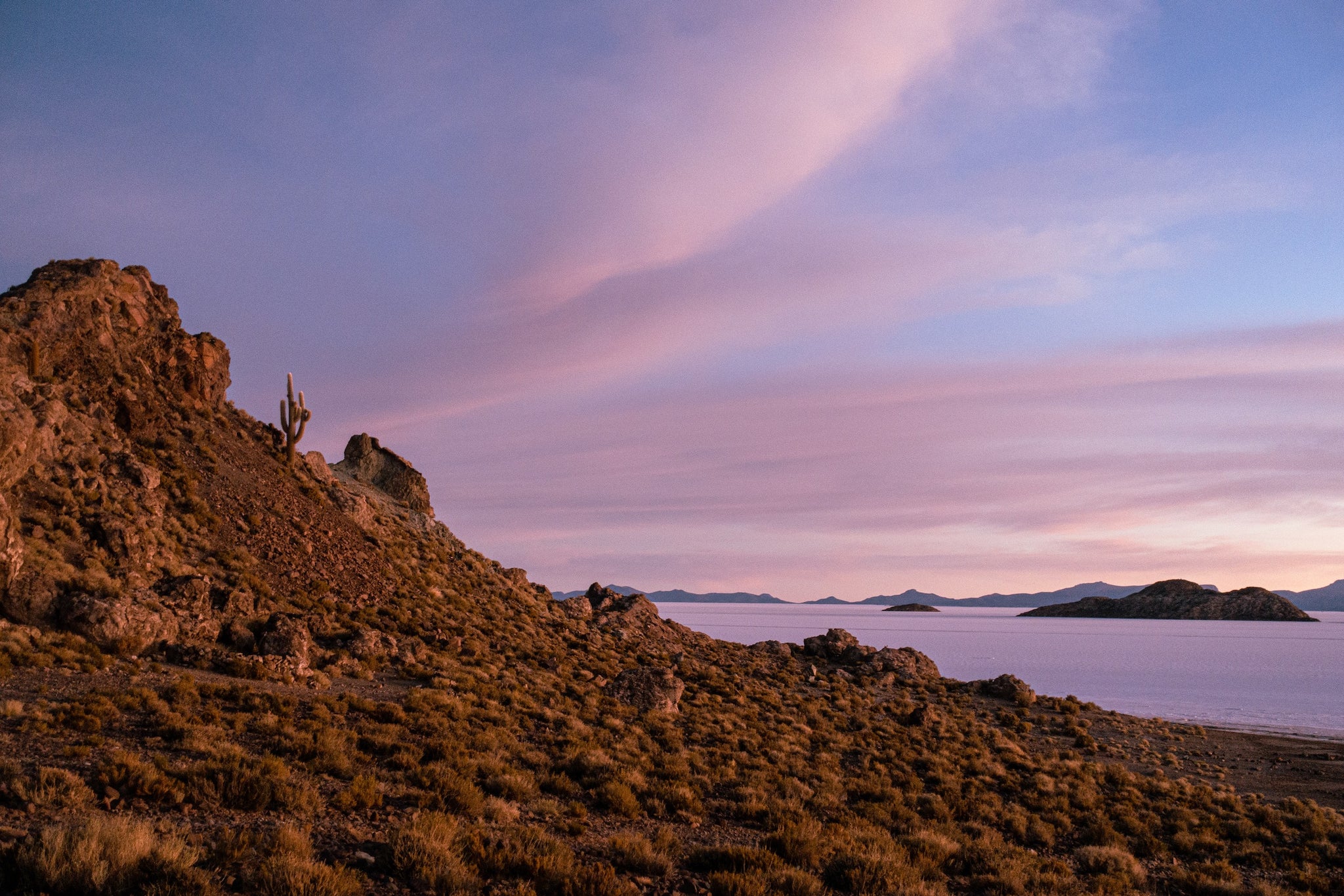 Desert sunset with salt flat on horizon