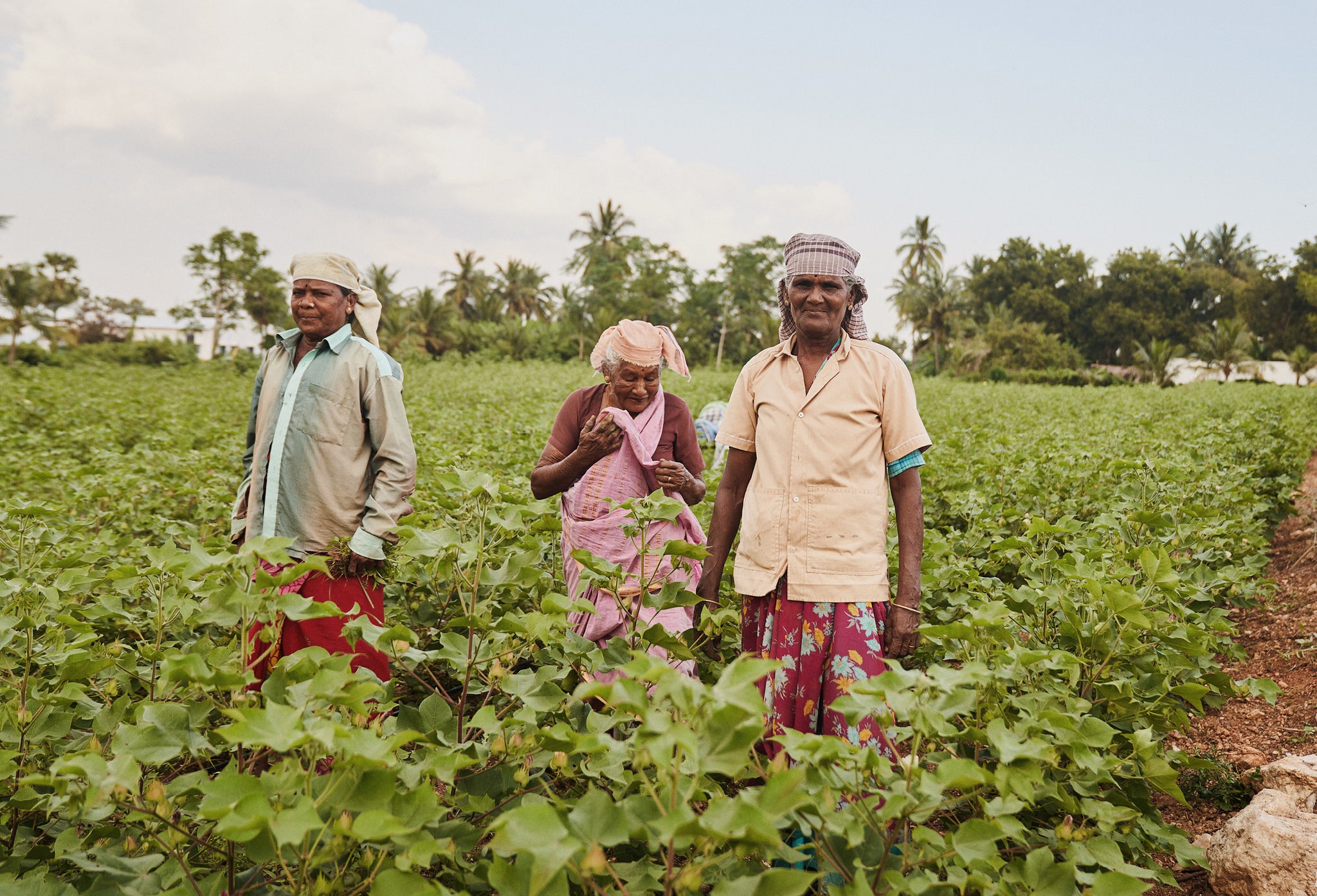 The group of women who helped plant the green gram and control the weeds