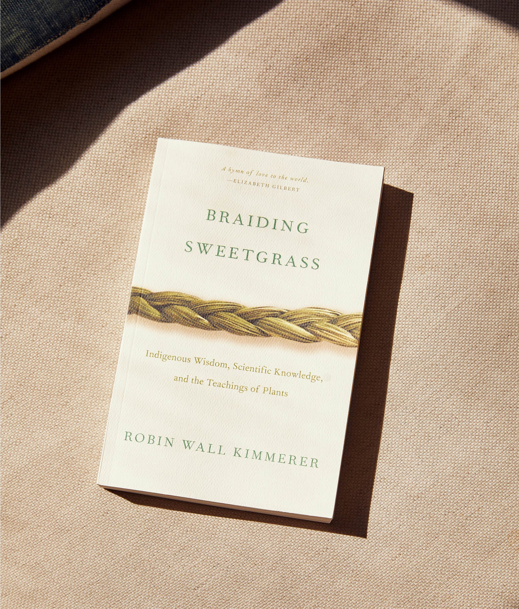 robin kimmerer braiding sweetgrass