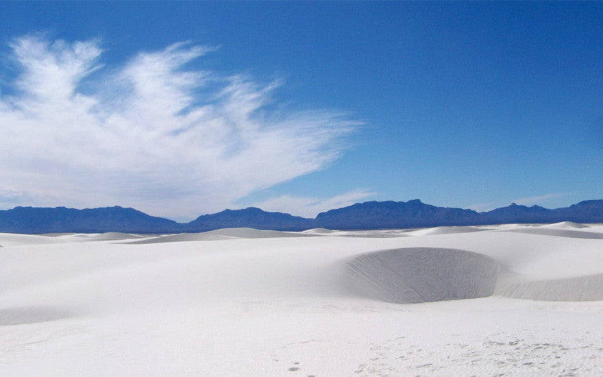 are dogs allowed at white sands national monument