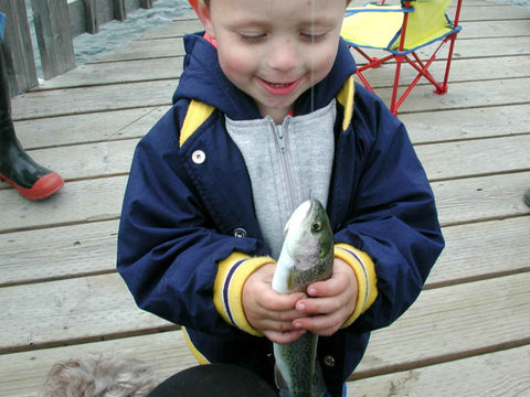 Fish is ideal for your child's brain development