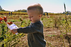 child at farm