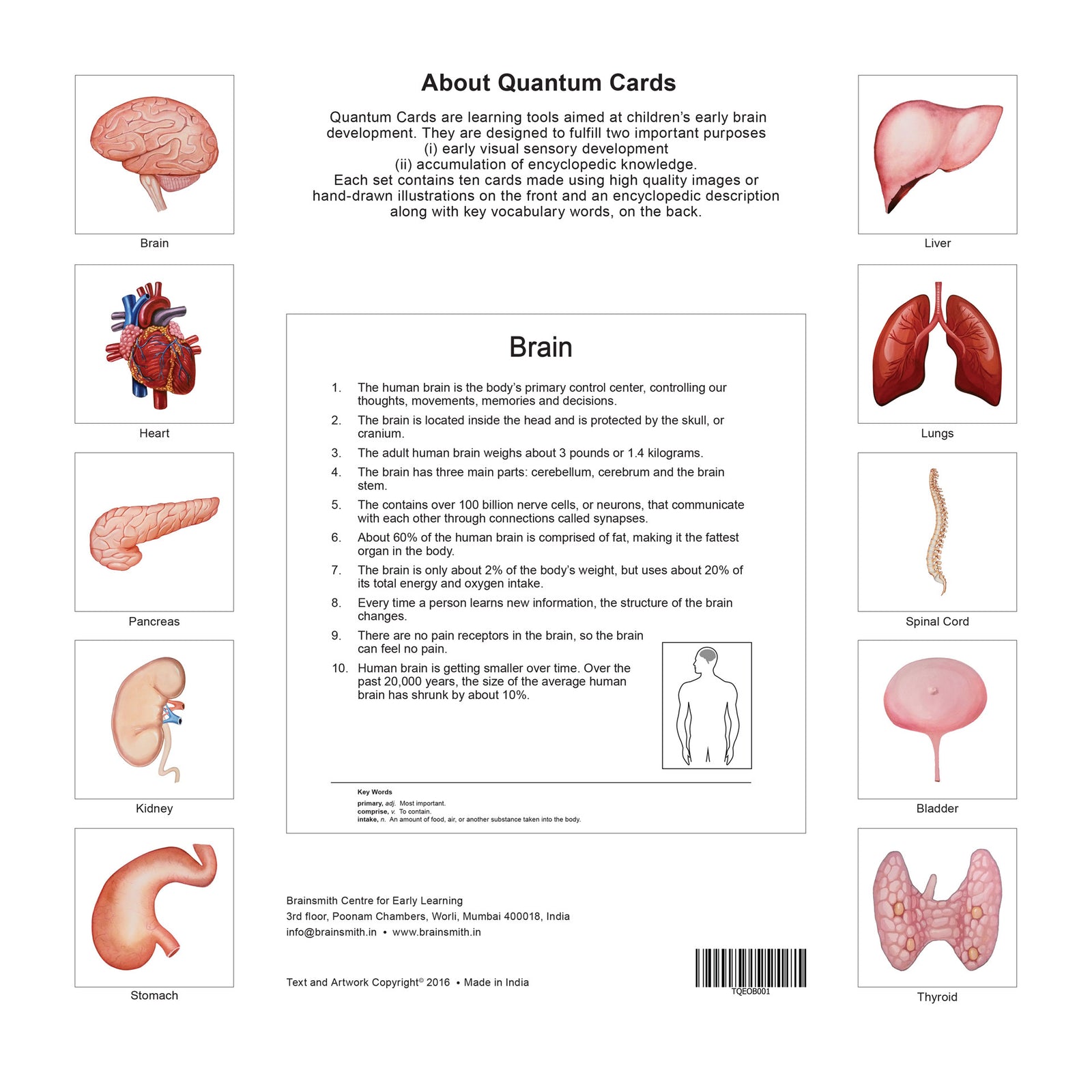 qutim organ