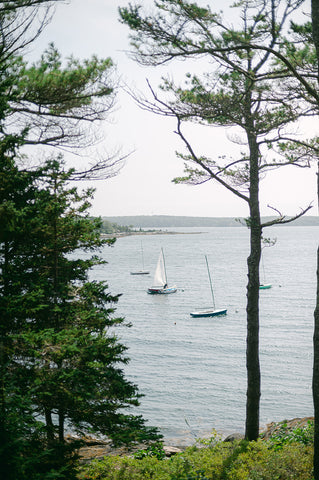 coastal Maine with sailboats