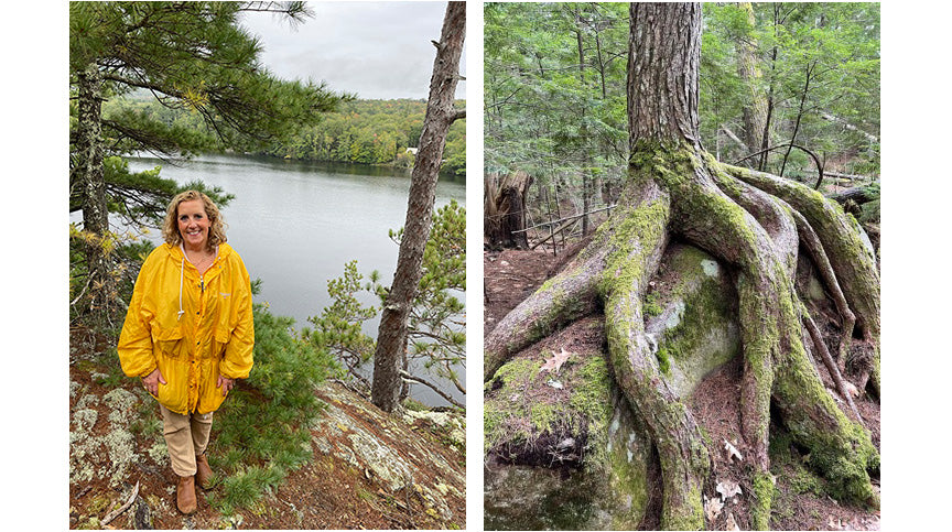 cool tree and El