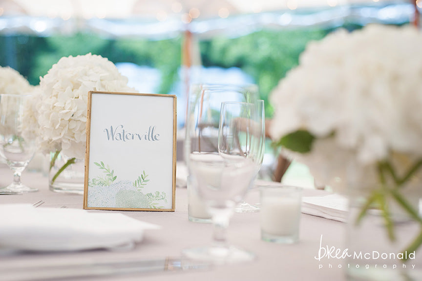 Hydrangea table name