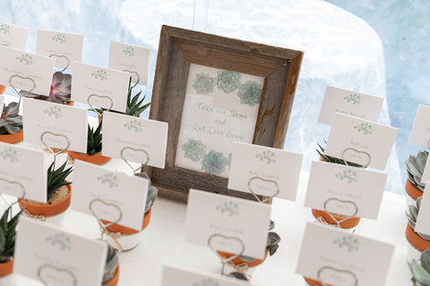 Succulent escort cards