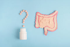 white bottle with pills forming a question mark next to paper cutout of intestine