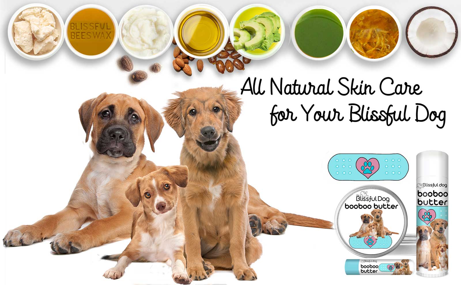 dog skin care