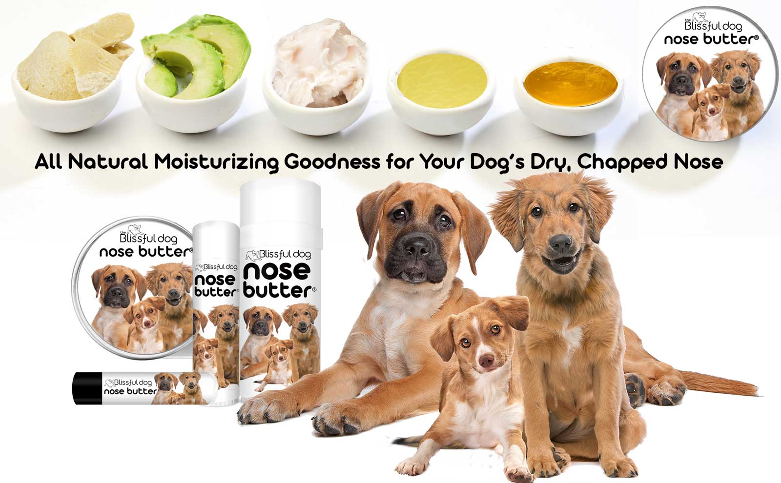 all natural skin care mixed breed dog