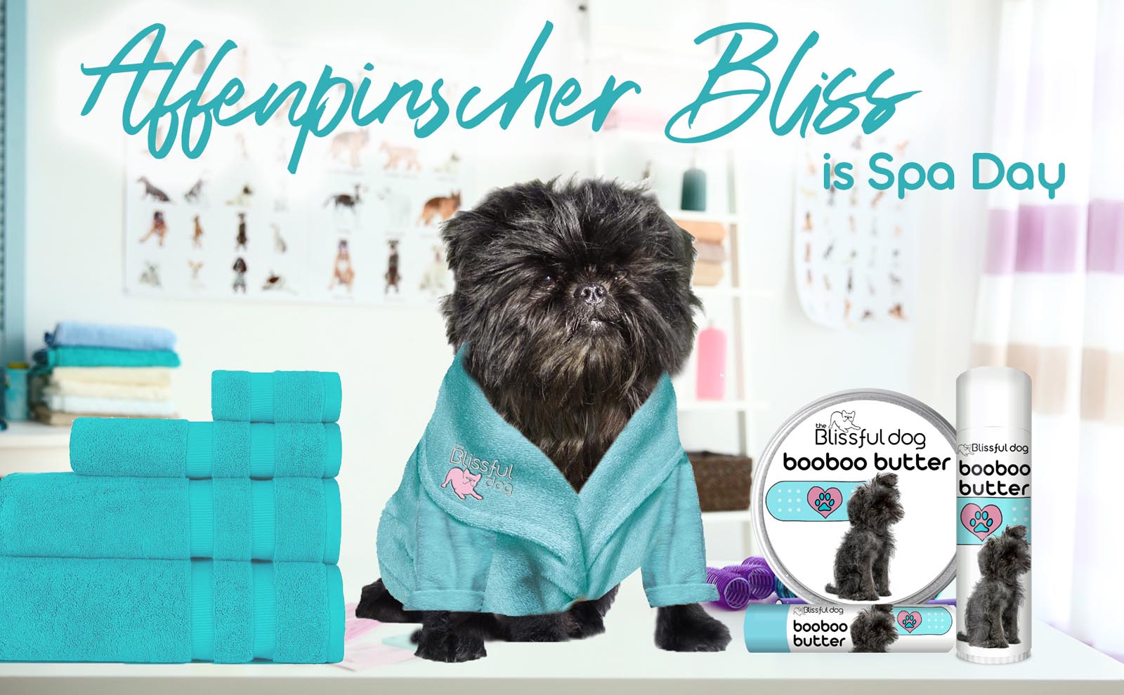 affenpinscher grooming