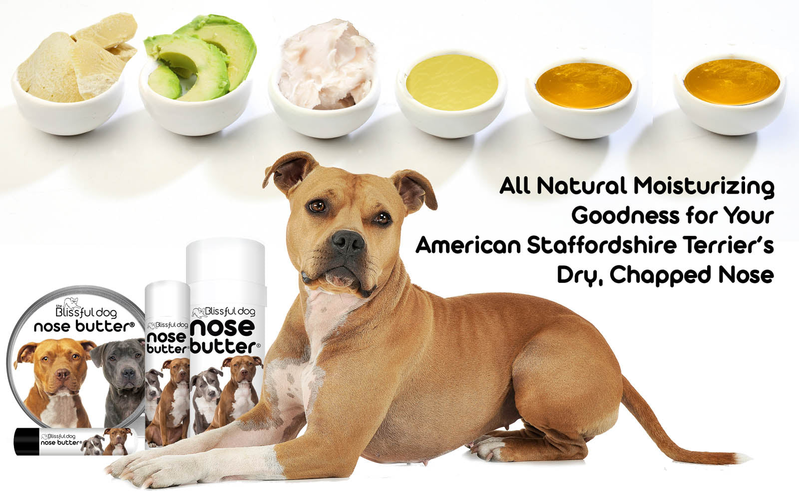 american staffordshire terrier skin care kit